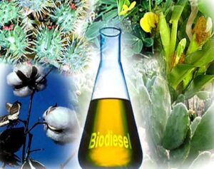 biodiesel-2