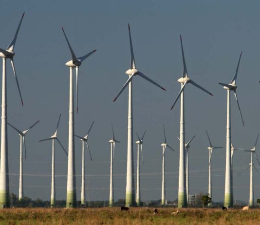 Brasil sobe no ranking mundial de capacidade instalada de energia eólica