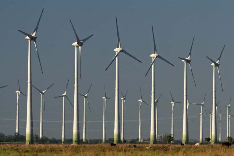 Brasil sobe no ranking mundial de capacidade instalada de energia eólica