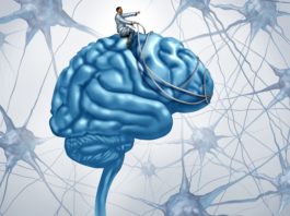 conhecimento sem sabedoria