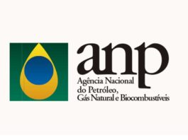 1000 bolsas de estudo