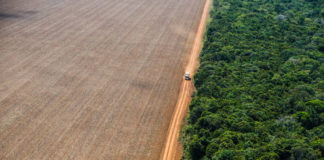 Desmatamento em alta pode minar chance de o Brasil cumprir meta contra aquecimento global