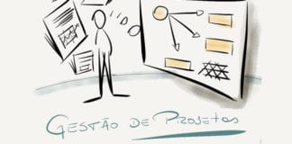 Metodologia de gestão de projetos e gestão transdisciplinar