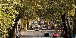 Automóveis e utilitários