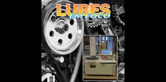 Revista Lubes em Foco