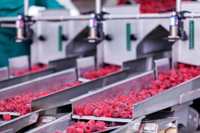 Evento de lubrificantes food grade levantará importantes questões