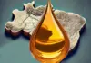 Base oils in the Brazilian market will be the topic of a panel at an event in Rio